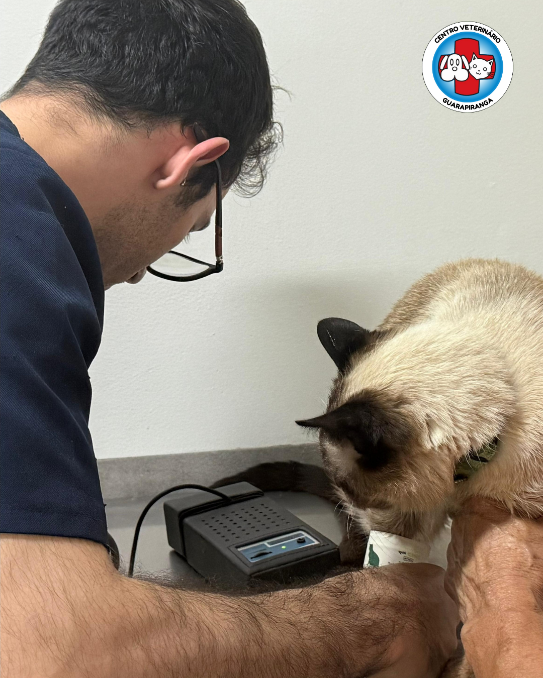 Imagem oficial de consultas e check-up veterinario