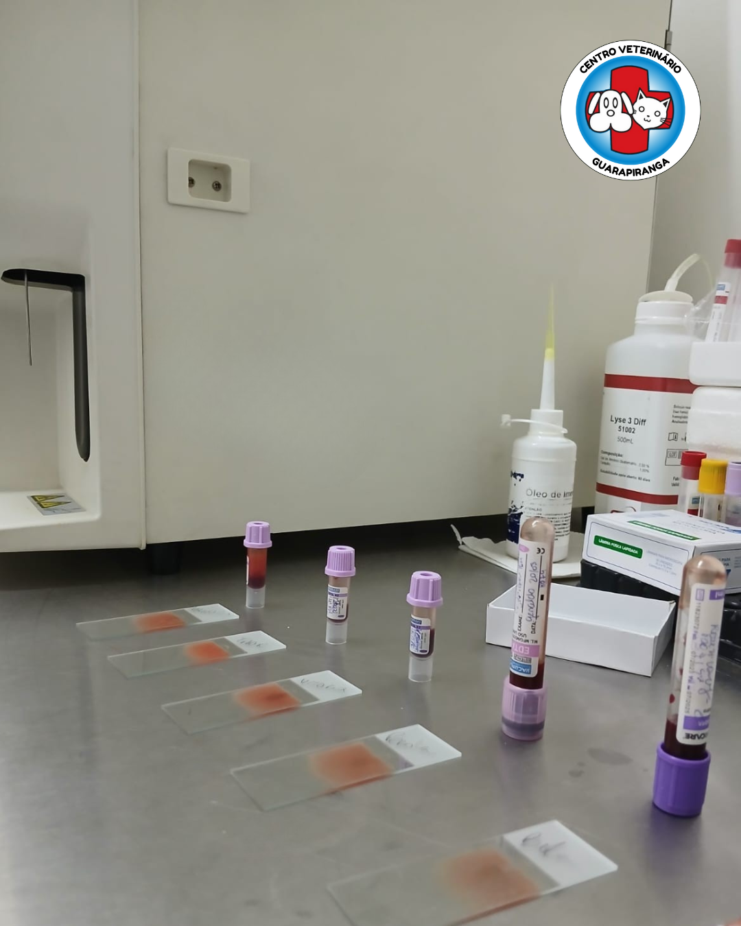 Imagem oficial de centro diagnostico e exames veterinarios